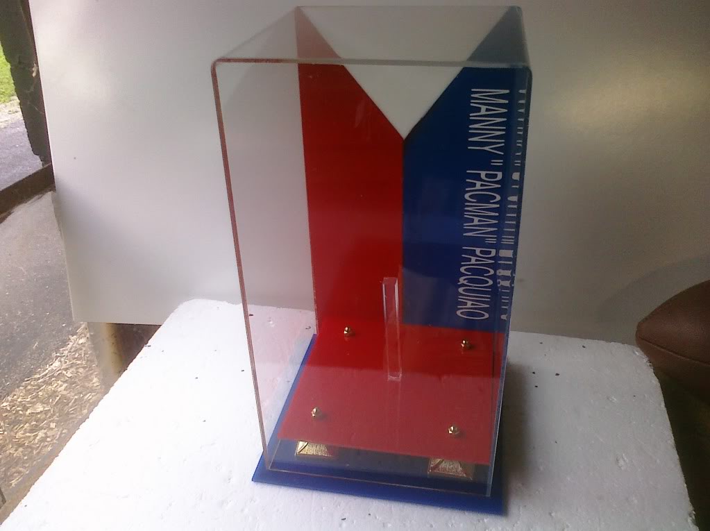 Vertical Boxing Glove Display Case